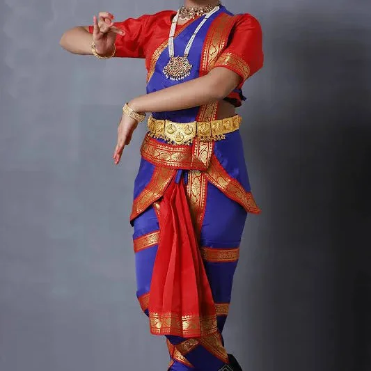 Bharatanatyam Dance Costume Dress for Girls in Red and Blue
