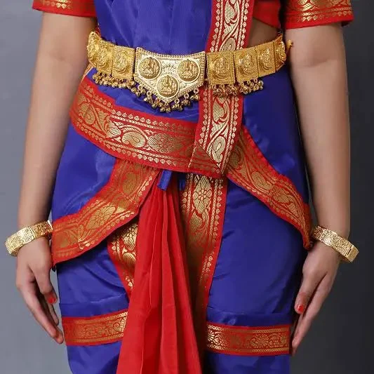 Bharatanatyam Dance Costume Dress for Girls in Red and Blue — 2
