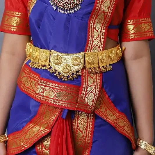 Bharatanatyam Dance Costume Dress for Girls in Red and Blue — 3