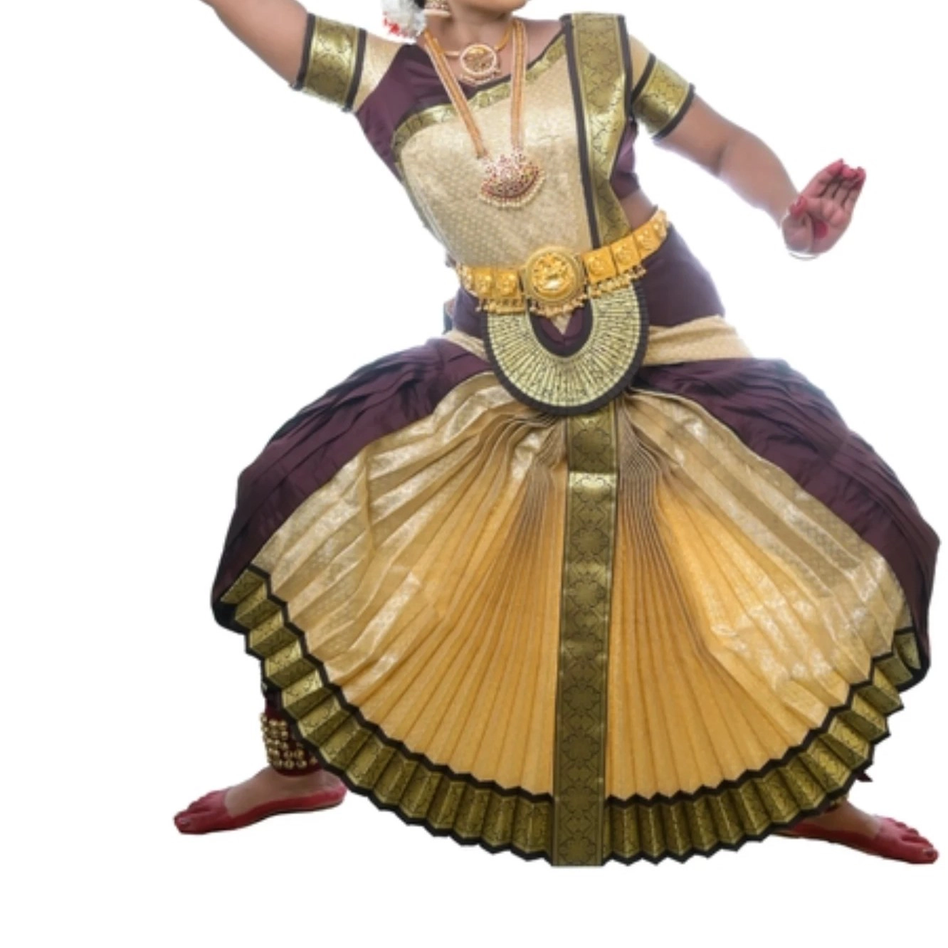 Bharatanatyam Costume Fully Stitched.| Coffee and Golden Brocade (28)
