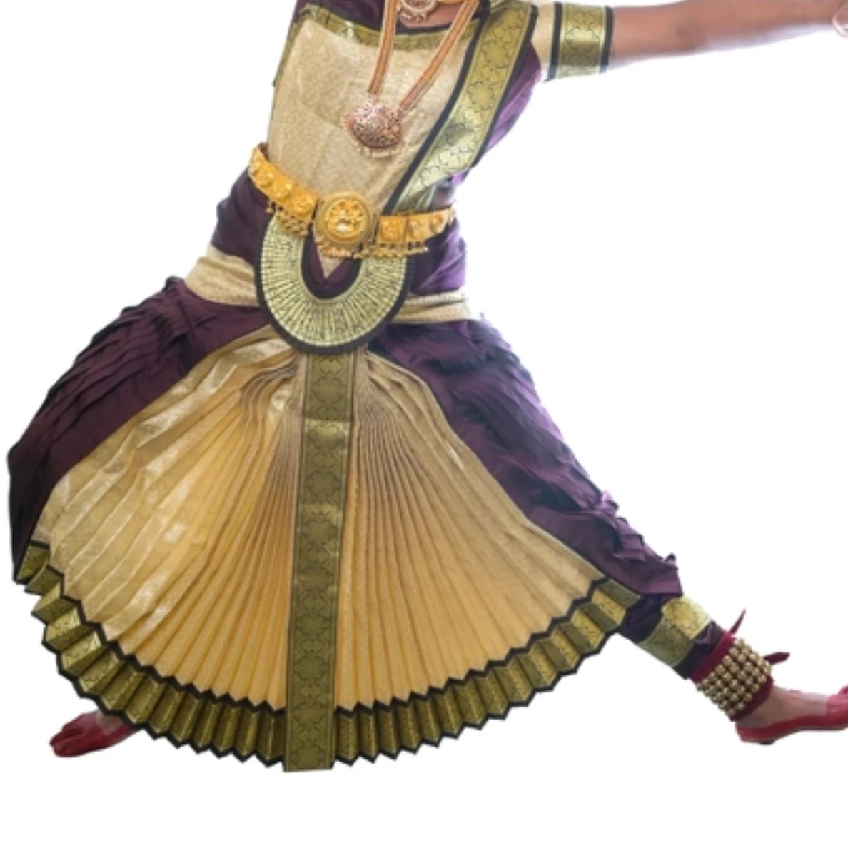 Bharatanatyam Costume Fully Stitched.| Coffee and Golden Brocade (28) — 2