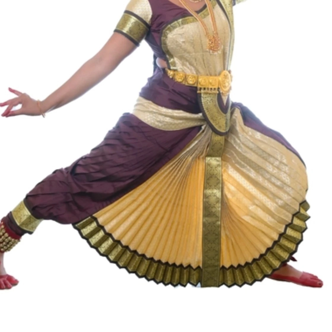 Bharatanatyam Costume Fully Stitched.| Coffee and Golden Brocade (28) — 3