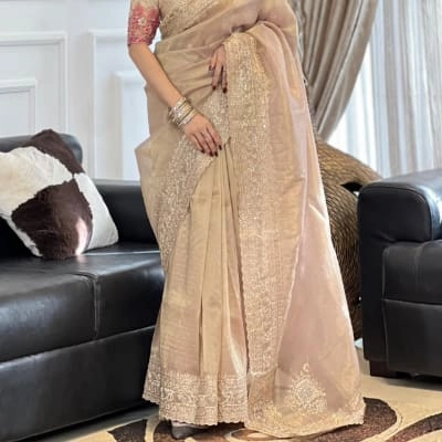 Beautiful champagne or gold-colored saree — 3