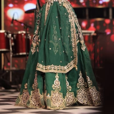 Traditional Indian lehenga — 2