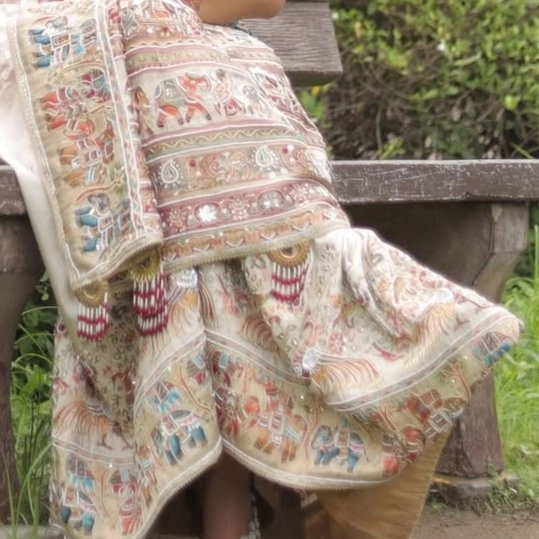 banarasi silk saree — 2