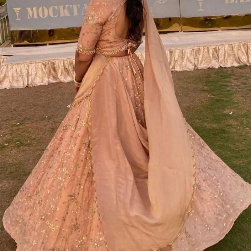 Blush Draped Lehenga Saree Set — 2