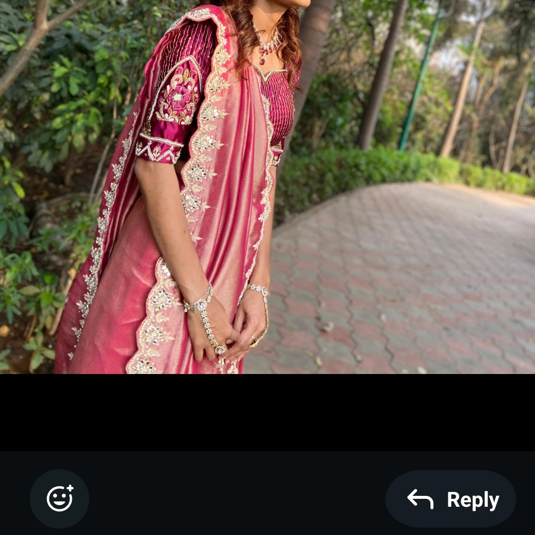 Handwork mirror Saree — 2