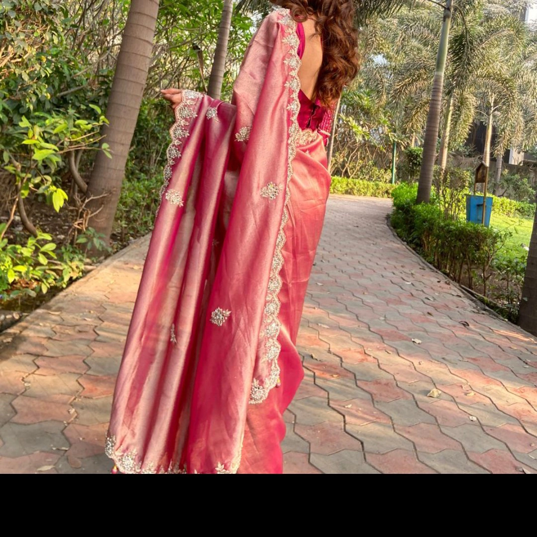 Handwork mirror Saree — 3
