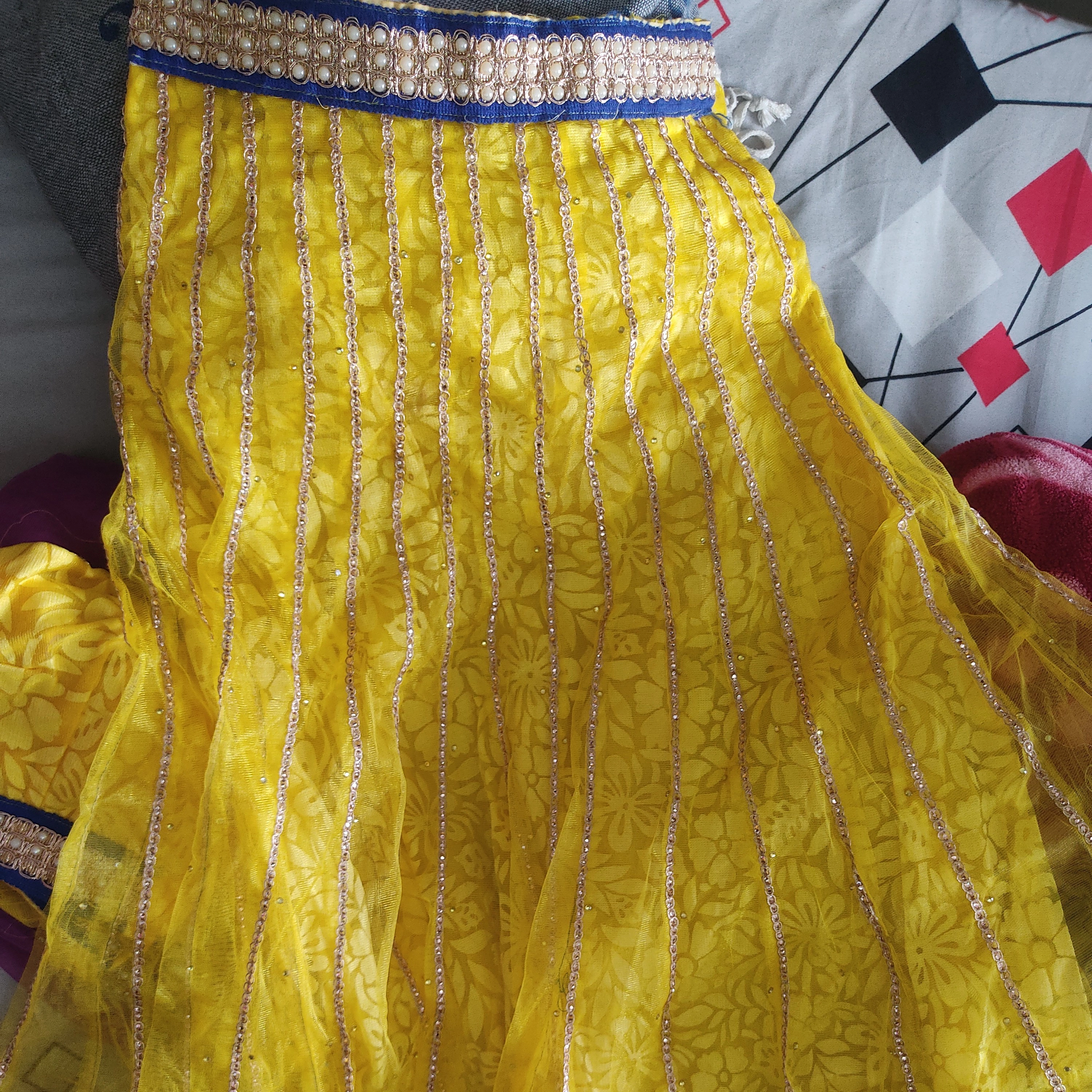 Beautiful Lehenga choli — 3